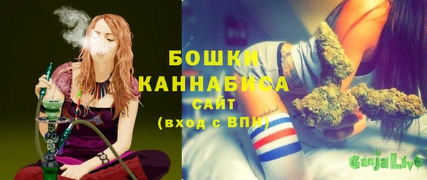 амф Козловка