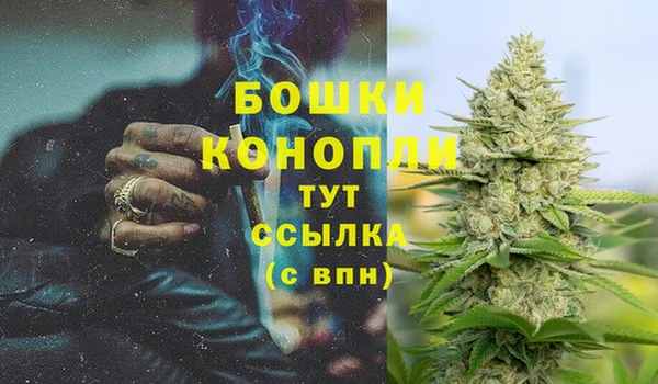 амф Козловка