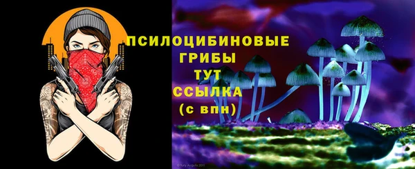 спиды Козельск